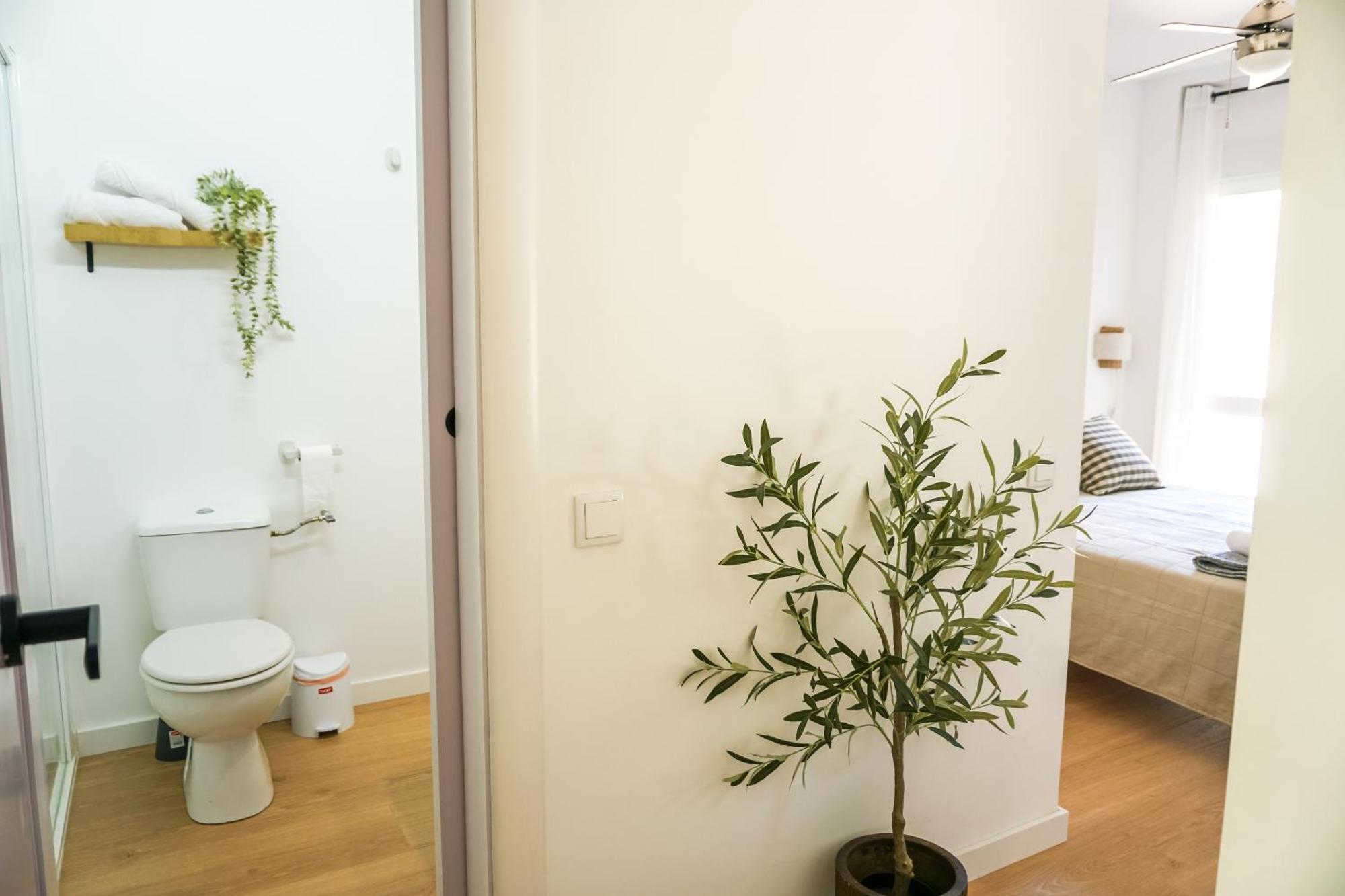 Apartamento El Olivo Alicante Exterior foto